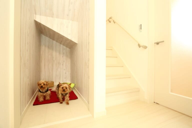 ワンちゃん専用のお部屋